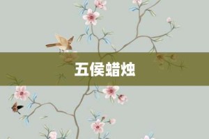 五侯蜡烛【五侯蜡烛的意思】- 成语大全