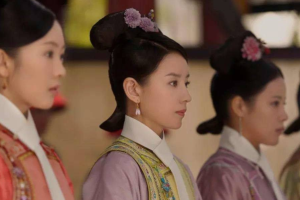 历史上最多老婆的皇帝（唐玄宗，美女如云，后宫佳丽40000人）_稗官野史 菊江历史网