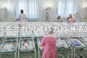 乌克兰为何被称为欧洲子宫_世界近代史 菊江历史网