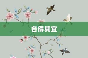 各得其宜【各得其宜的意思】- 成语大全