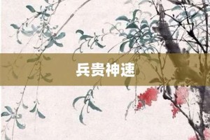 兵贵神速【兵贵神速的意思】- 成语大全