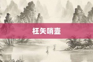 枉矢哨壶【枉矢哨壶的意思】- 成语大全