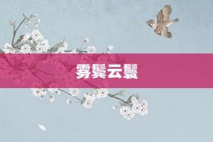 雾鬓云鬟【雾鬓云鬟的意思】- 成语大全