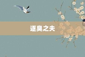 逐臭之夫【逐臭之夫的意思】- 成语大全