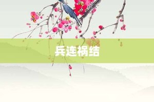 兵连祸结【兵连祸结的意思】- 成语大全