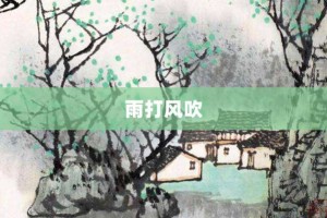 雨打风吹【雨打风吹的意思】- 成语大全