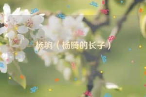 杨驹【杨腾的长子】 – 人物百科