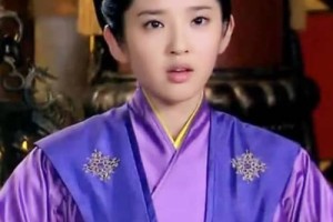 沈碧【《陆贞传奇》中人物，由唐艺昕饰演】 – 人物百科