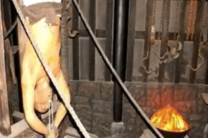 点天灯是什么样的刑罚：将人架在高处点燃(出自三国演义)_稗官野史 菊江历史网