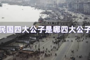 民国四公子（袁克文、张伯驹、张学良、溥侗）_民国历史 菊江历史网