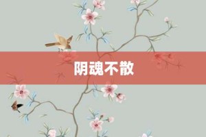 阴魂不散【阴魂不散的意思】- 成语大全