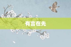 有言在先【有言在先的意思】- 成语大全