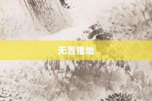 无置锥地【无置锥地的意思】- 成语大全