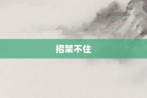 招架不住【招架不住的意思】- 成语大全