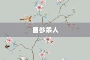 曾参杀人【曾参杀人的意思】- 成语大全