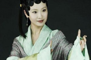 薛宝琴简介_薛宝琴的儿子_薛宝琴的故事_薛宝琴怎么死的 菊江历史网