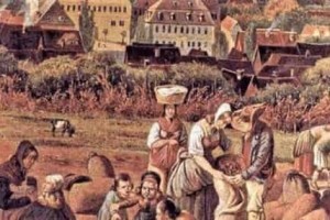 从衰落到复兴，中世纪西欧的农业耕作制度是如何形成的 菊江历史网