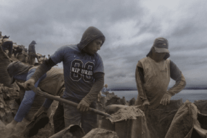 秘鲁政府为何利用部分鸟粪收入，进行废奴运动和铁路建设 菊江历史网