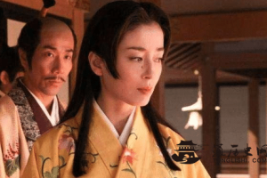 日本复杂的官民关系有哪些体现_世界古代史 菊江历史网