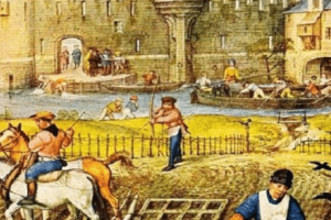 中世纪晚期英国土地市场的发展与早期圈地运动交织进行对社会发展有哪些影响？_世界古代史 菊江历史网