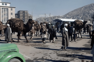 阿富汗历史问题与部落社会的回应_世界古代史 菊江历史网