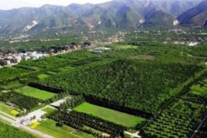 秦始皇陵长明灯为什么不灭（使用鲛人油当烛心）_稗官野史 菊江历史网