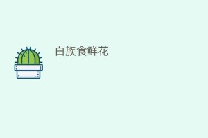 白族食鲜花_饮食文化 菊江历史网