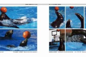 王士俊【中国博士，研究员】 – 人物百科