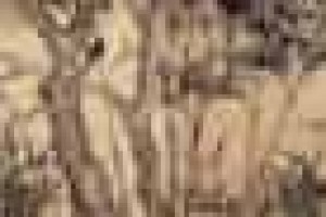 李衎【元代画竹名家，元初画竹三大家之一】 – 人物百科