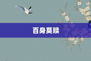 百身莫赎【百身莫赎的意思】- 成语大全