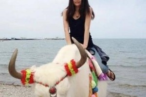 杜晓雨【中国女编剧】 – 人物百科