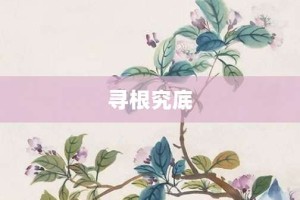 寻根究底【寻根究底的意思】- 成语大全