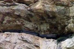 土家族丧葬文化，龙河土家岩棺介绍_民俗文化 菊江历史网