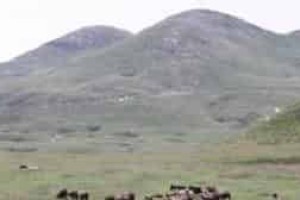 苗族迁徙史，苗族人都经历过几次历史性迁徙_民俗文化 菊江历史网