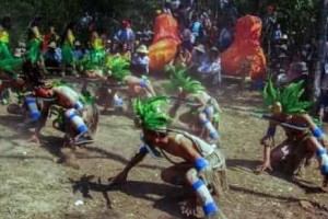 彝族撒尼村寨的密枝节是什么样的节日_民俗文化 菊江历史网