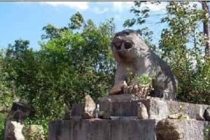 双柏老虎笙是彝族独特虎文化的活化石_民俗文化 菊江历史网