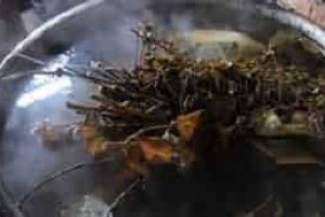 瑶族药文化，瑶族药浴的特点及功效是啥_民俗文化 菊江历史网