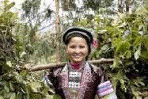 瑶族的养生文化，瑶族人平常是怎么养生的_民俗文化 菊江历史网