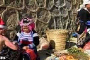 瑶族药文化，瑶族人是怎样草药治病救人的_民俗文化 菊江历史网