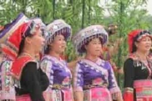 瑶族音乐，瑶族蝴蝶歌的艺术特色及文化简介_民俗文化 菊江历史网