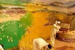 朝鲜族人们是怎么耕作的朝鲜族农耕文化_民俗文化 菊江历史网