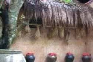 黎族酒文化简介，黎族酒都有啥民族特色_民俗文化 菊江历史网