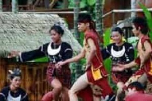 黎族快乐的打柴舞是什么样的，至今有何发展 菊江历史网