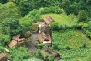 黎族当年是怎样砍山栏的，黎族农业简介 菊江历史网