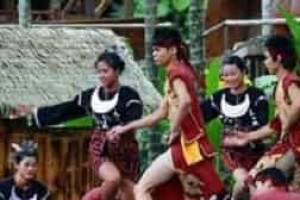 黎族舞蹈，黎族的打柴舞为什么又叫竹竿舞 菊江历史网