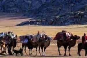 哈萨克族与维吾尔族的关系与区别 菊江历史网