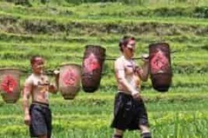 拉祜族的库扎节为什么是其最隆重的节日 菊江历史网