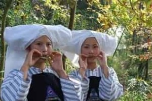 布依族山歌，布依族的山歌有什么特色 菊江历史网