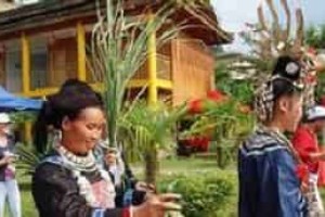 水族婚俗，水族人对于结婚有着怎样的习俗 菊江历史网