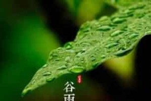 谷雨的谚语：关于谷雨的民间谚语大全 菊江历史网